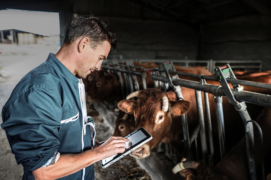 Wevo-Chemie protects components for livestock monitoring